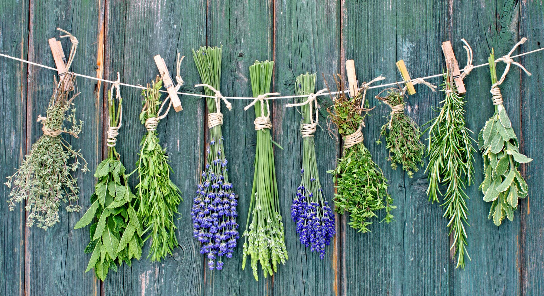 storing produce hanging herbs