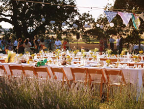 host your own party on the farm
