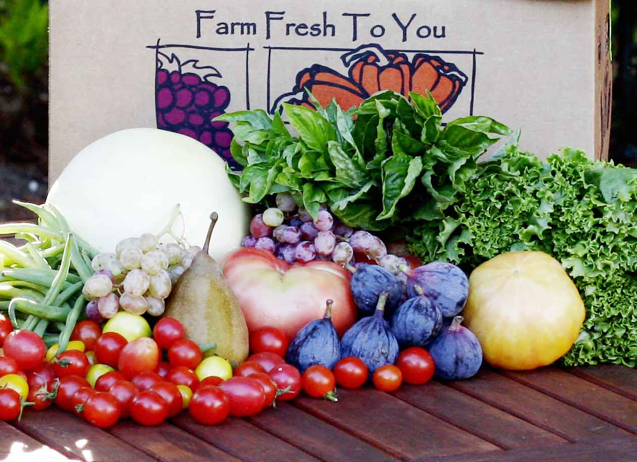 Farm Fresh To You School Fundraising
