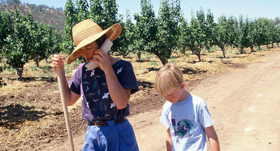 Farmer taking phone orders for organic produce delivery