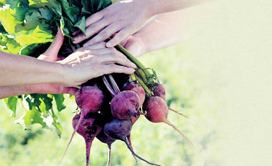 sharing farm fresh food