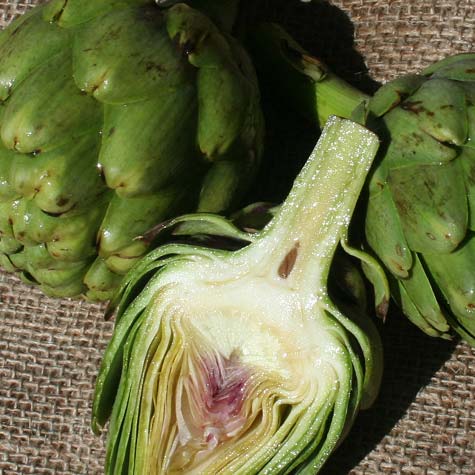 artichokes