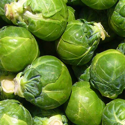 Brussels Sprouts