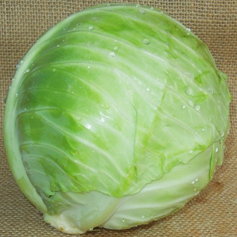 cabbage