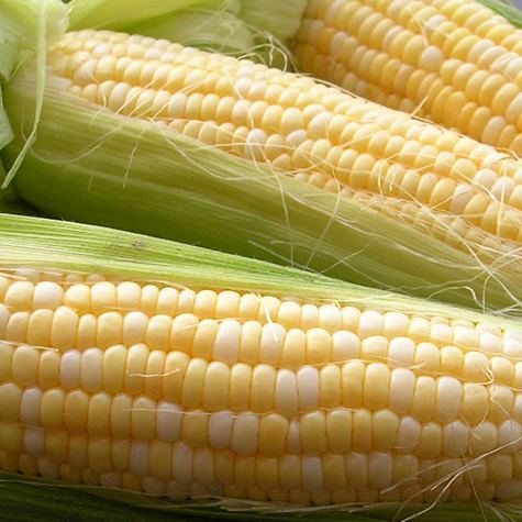 Corn