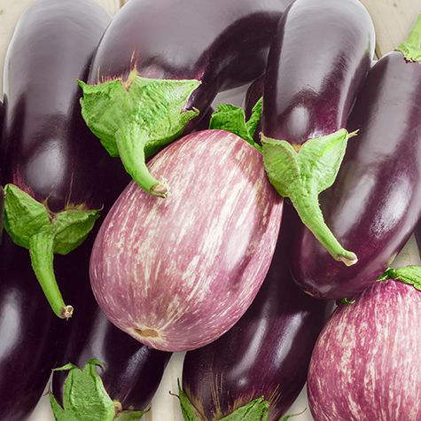 Eggplant