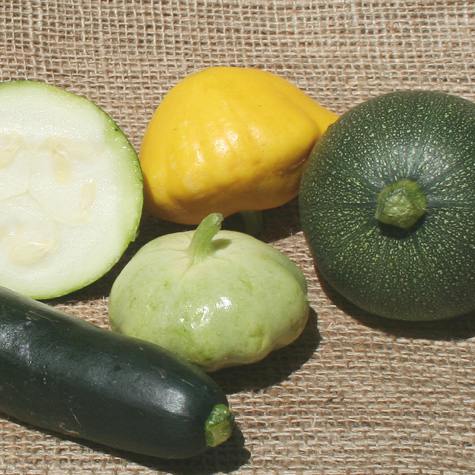 summer squash