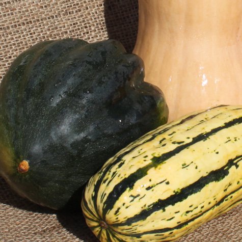 winter squash